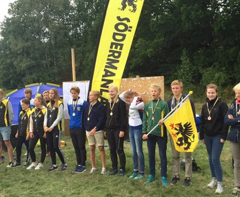 Sörmland segrade i distriktsmatchen!