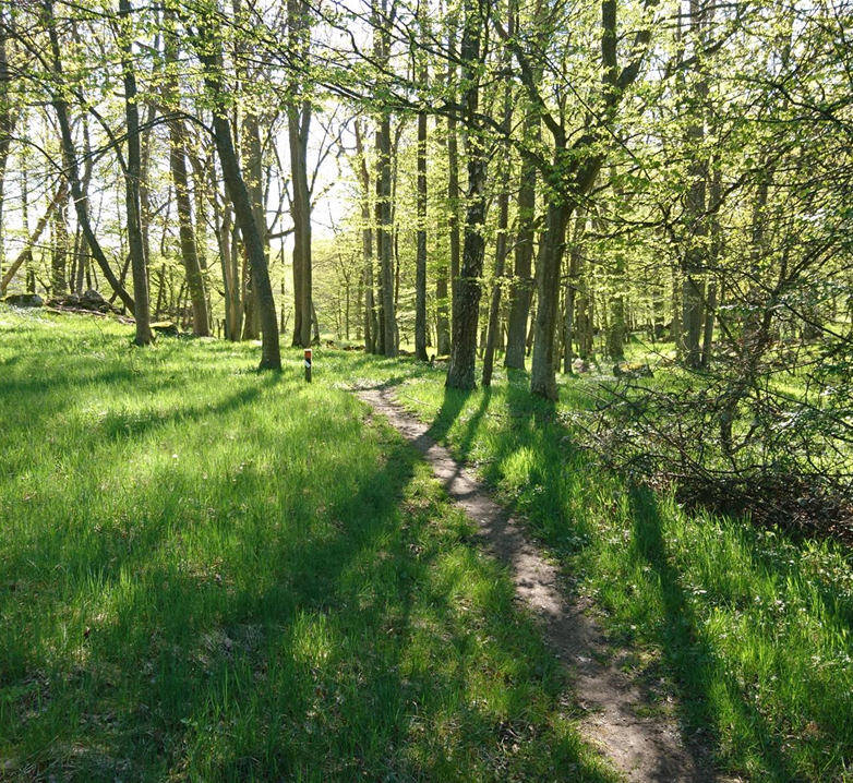 Thumbnail Markfrågor