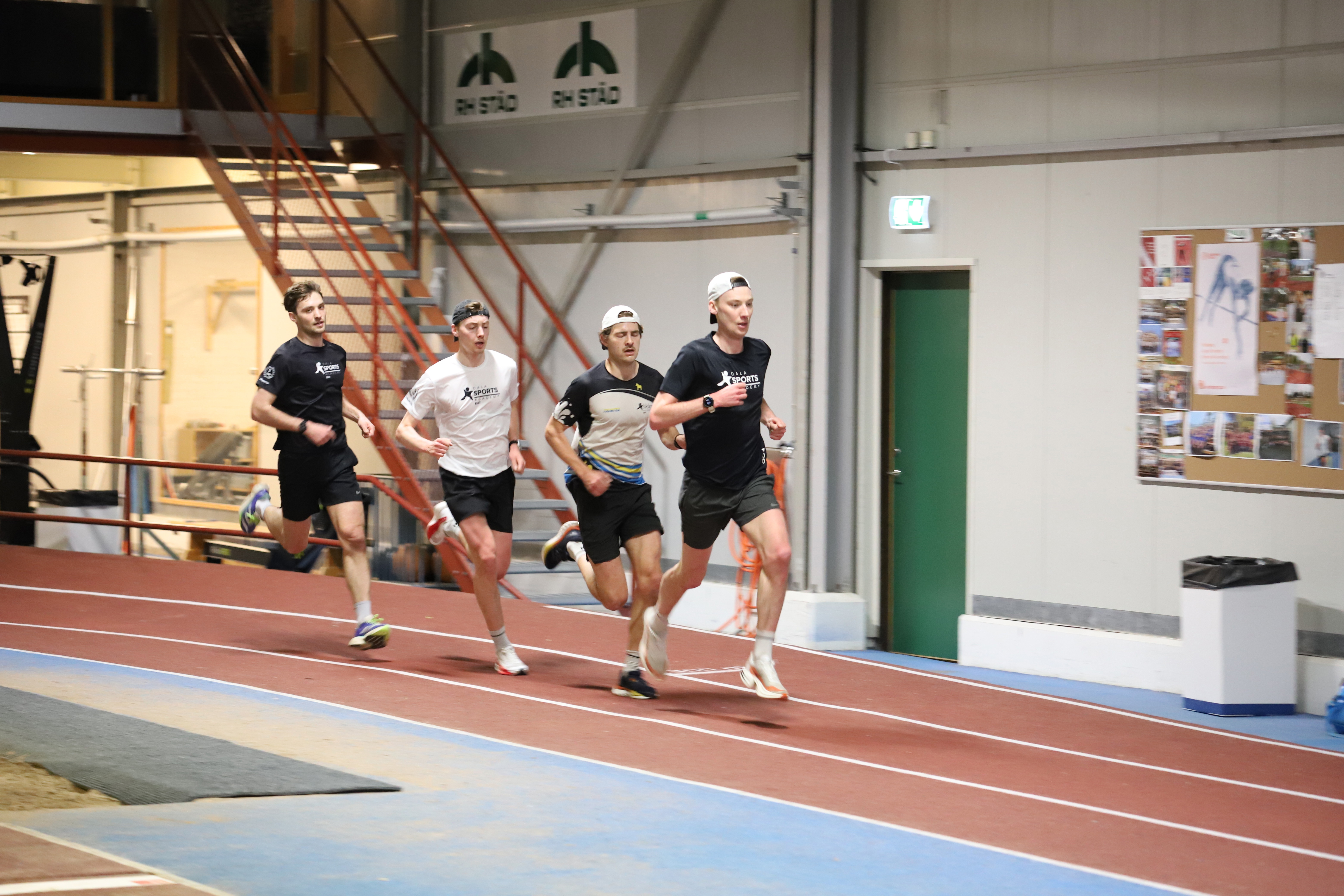 Dsaelit Johantrygg