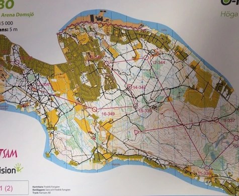 Ledarna i MTBO:s huvudklasser höll undan