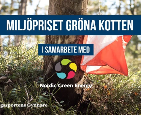 Gröna kotten till Umeå OK: "En uppmuntran och en bekräftelse"