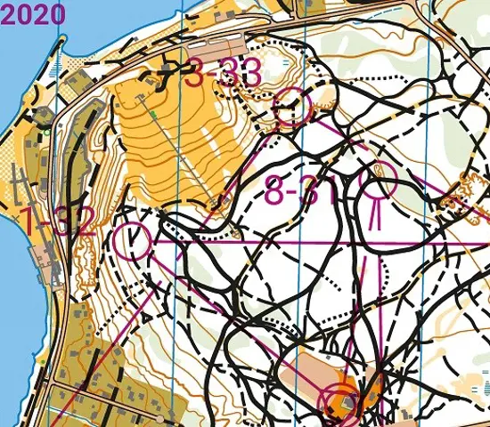 Bra MTBO-aktiviteter i distrikten