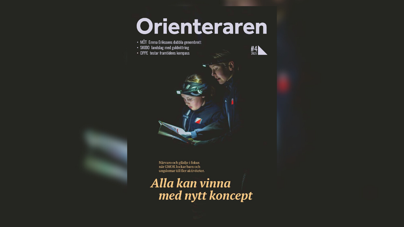 Kopia Av Instagram Flödet (Webbplats)