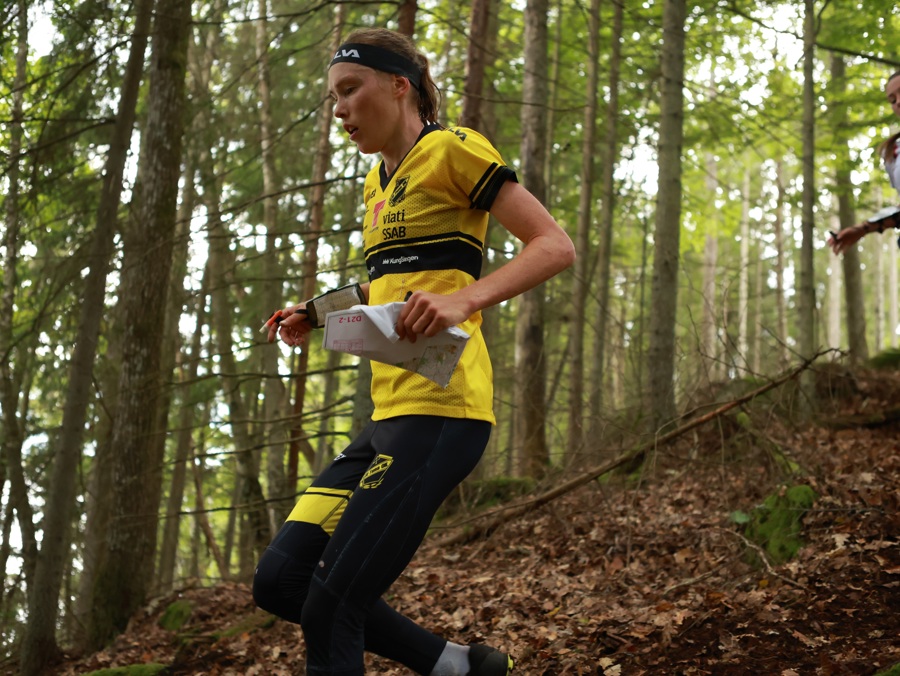 Tove Alexandersson är tillbaks i skogen