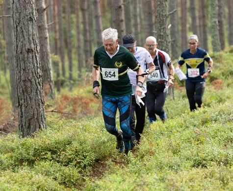 Bengt Bivrin, Snättringe SK, drar ett tåg på Veteran-SM:s medeldistans i lördags. Bakom skymtar också Yngve Karlsson, IFK Mora SK, Sven Anders Olsson, Attunda OK och Ulrika Ribbholm, OK Njudung.