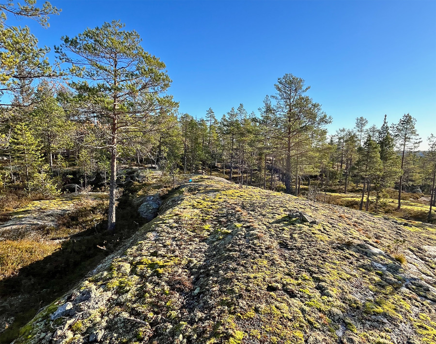 Spektakulär terräng väntar för deltagarna på Swedish League och Tour de Medelpad nor om Sundsvall. Bild: Jan Nordin.