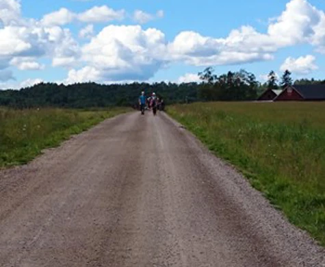 Dag 17: Mullsjödagen