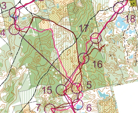 Svenskorna bommade bort medaljchanserna