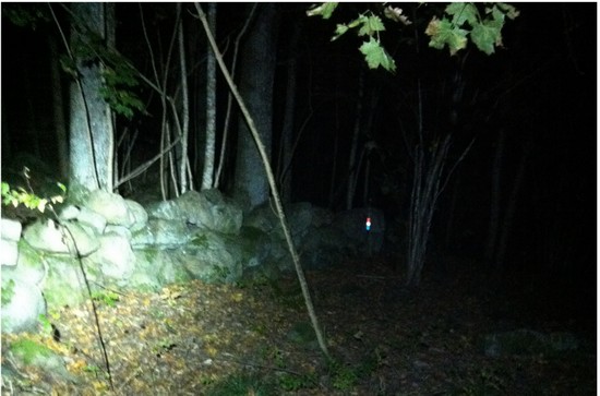 Nattbild Stemur Skuren