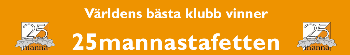 Logga 25Manna