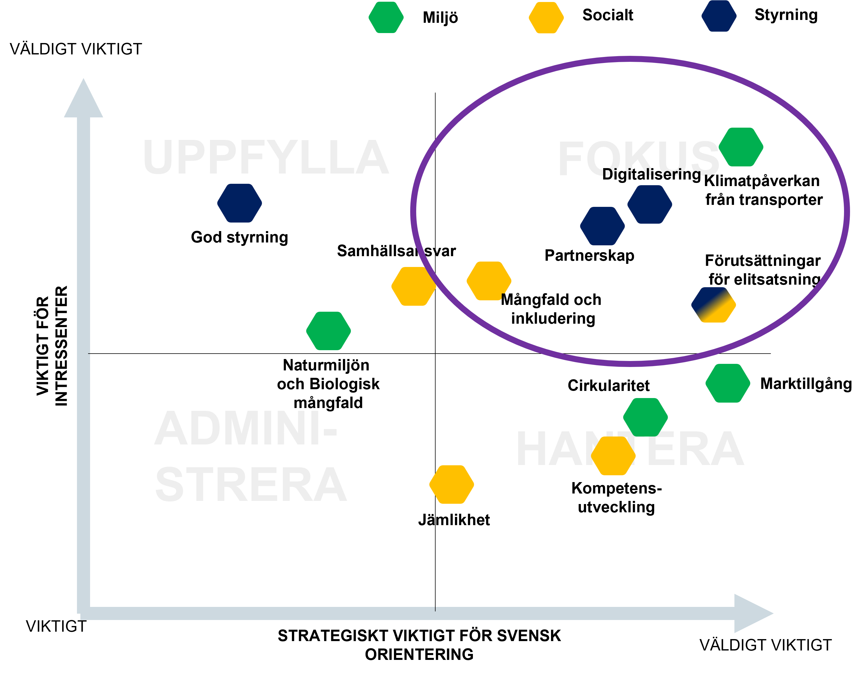 Väsentlighetsanalysen