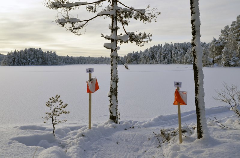 Two ski controls against the backdrop of a winter landscape.