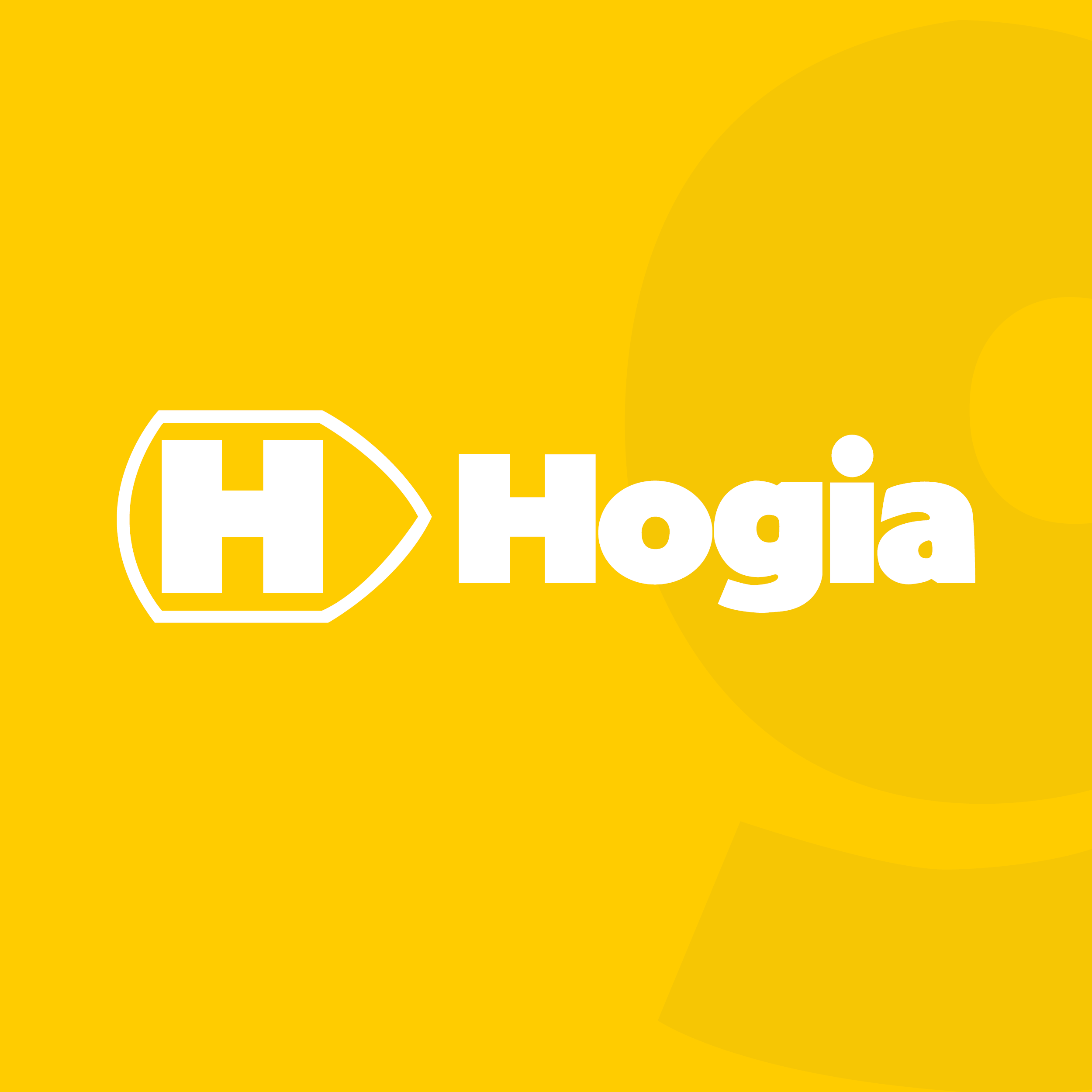 Hogia Orientering