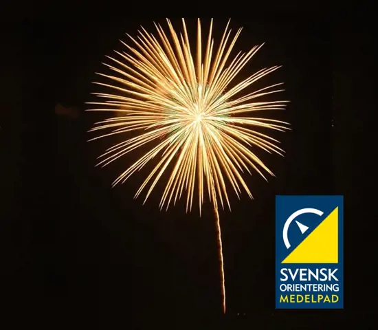 Bild i nyhet om premiär för nya hemsidan