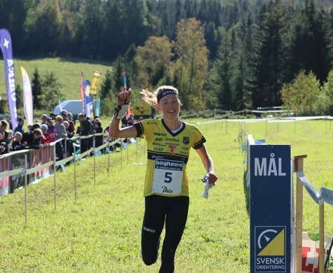 Swedish League final