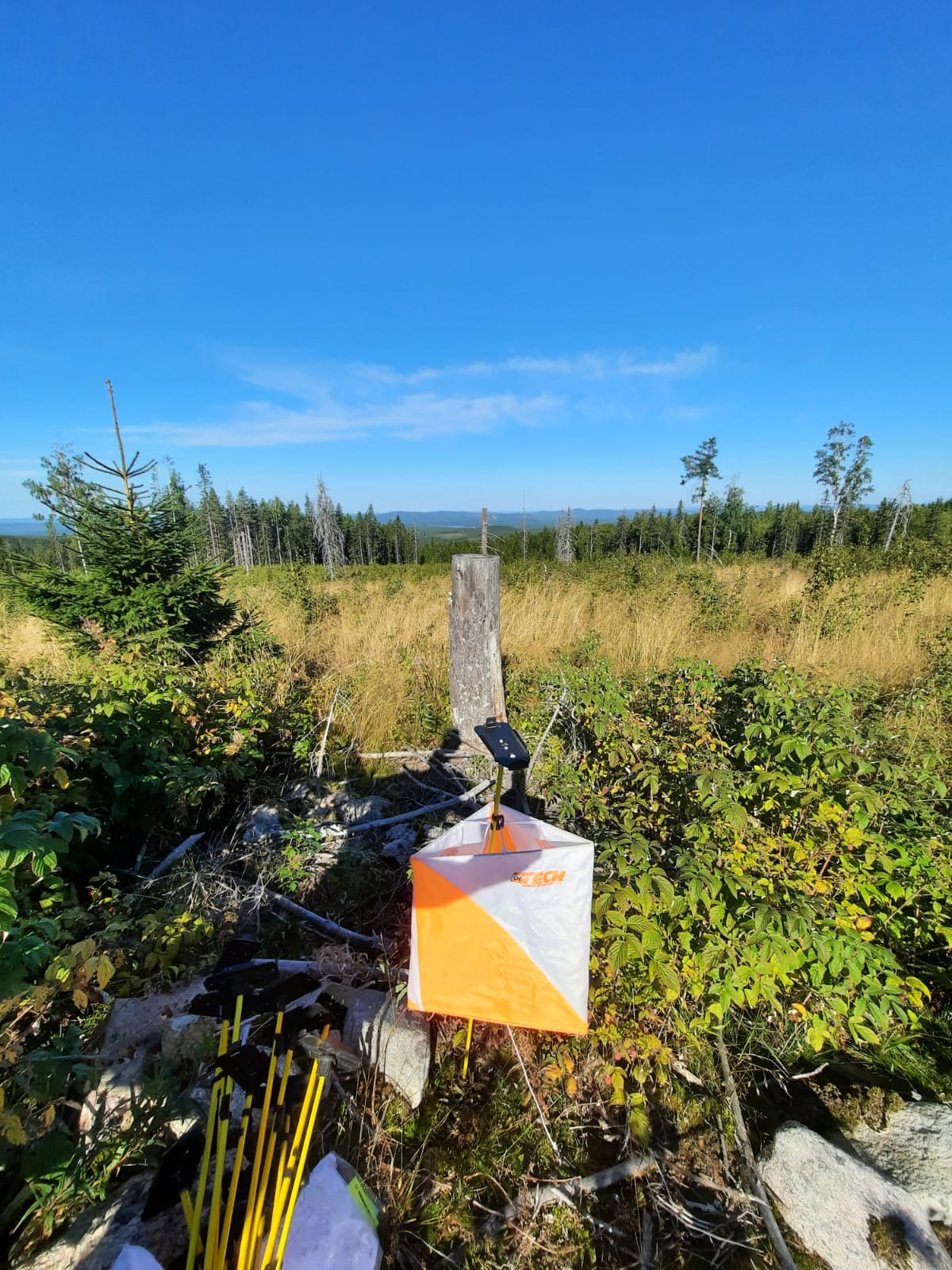 Orienteringskontroll i skogen