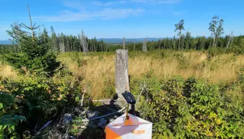 Orienteringskontroll i skogen