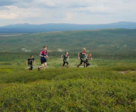 Orienterare springer fjällångdistans under U25-camp 2022.