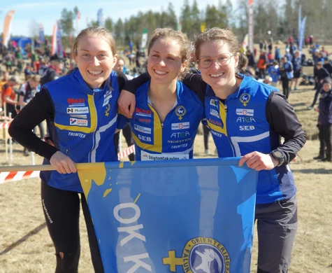 Damsegrarna på Stigtomtakavlen, OK Kåre.