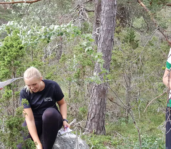 För Hemsidan