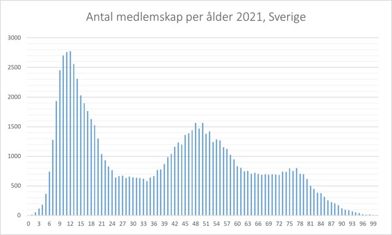 Elvaårspuckeln