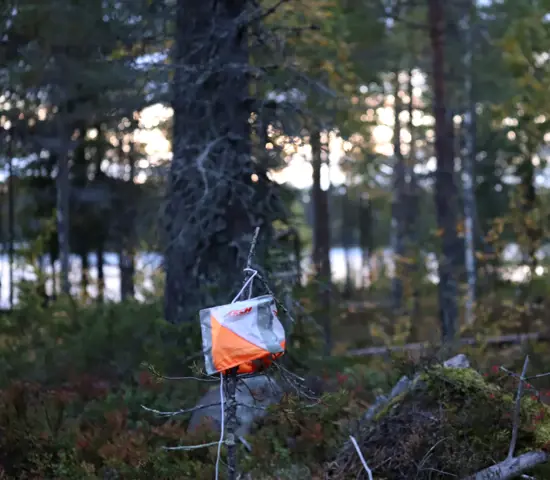 En orienteringsskärm ute i skogen.