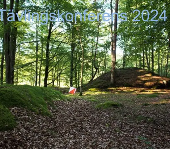 Skärmbild 2024 11 08 063659