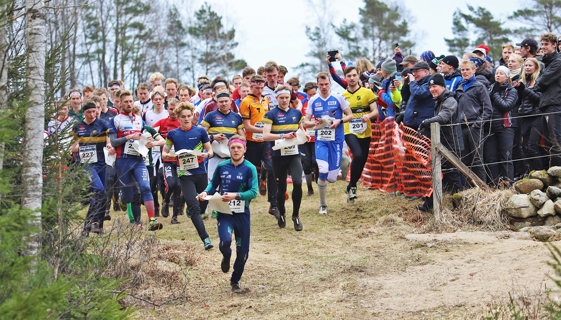 Starten i herrklassen på O-stafetten med Kils OK:s Viktor Skoog någon meter före resten av startfältet. 