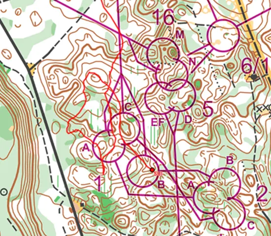 Många medaljer till Stockholm när VM avslutades