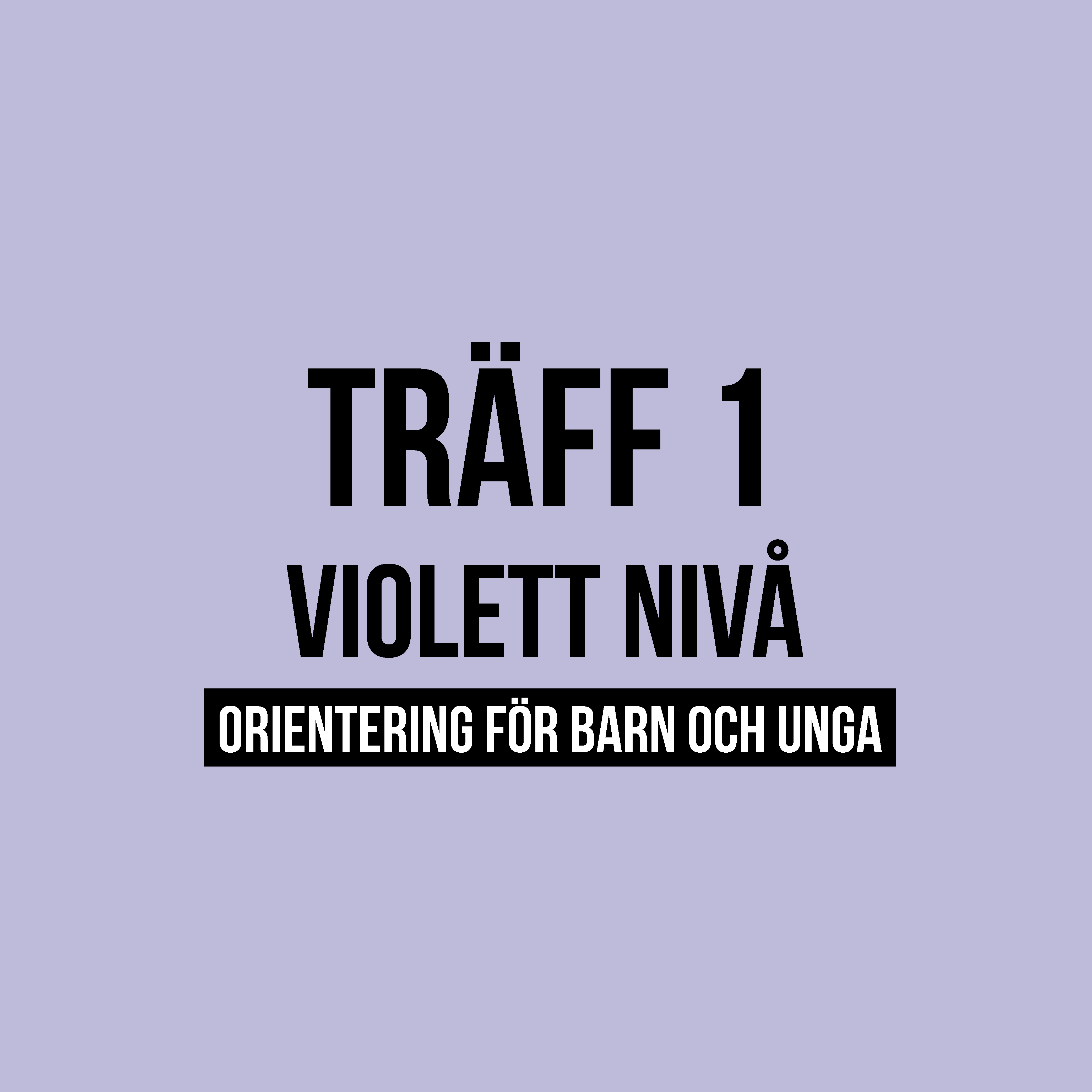 Fyrkantspuff Violett T1
