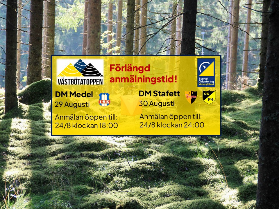 DM 2026 Web