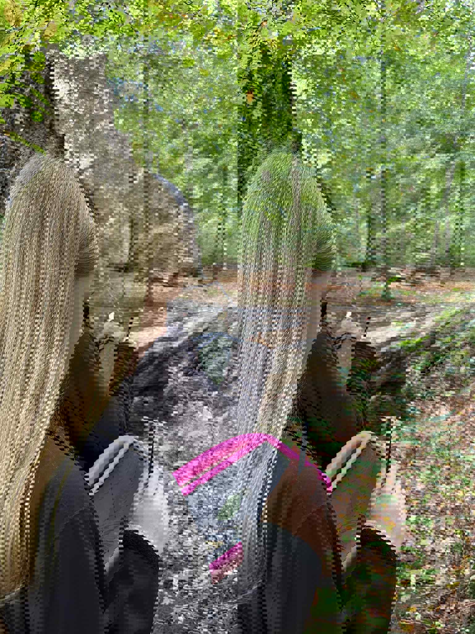 E241cdaf B122 4991 A5a3 505Ee88b26fb