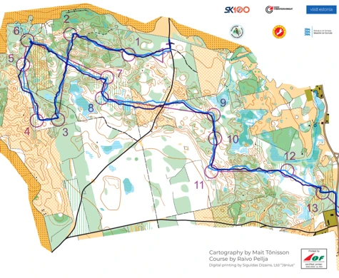 14 svenska löpare till EM-final på medeldistans