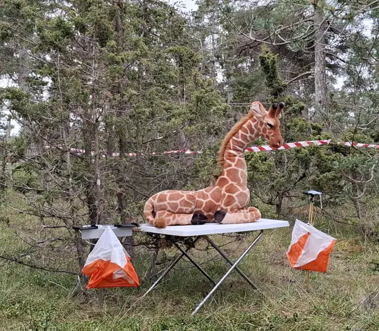 Sista Kontrollen Långsmal