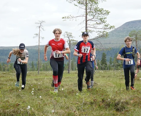 Massa orientering och nya vänner = Rikslägret sommar