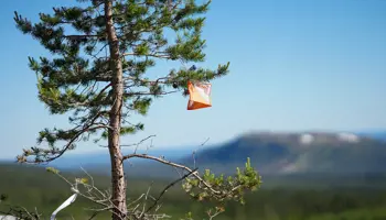 Bild Pm Träning (3)