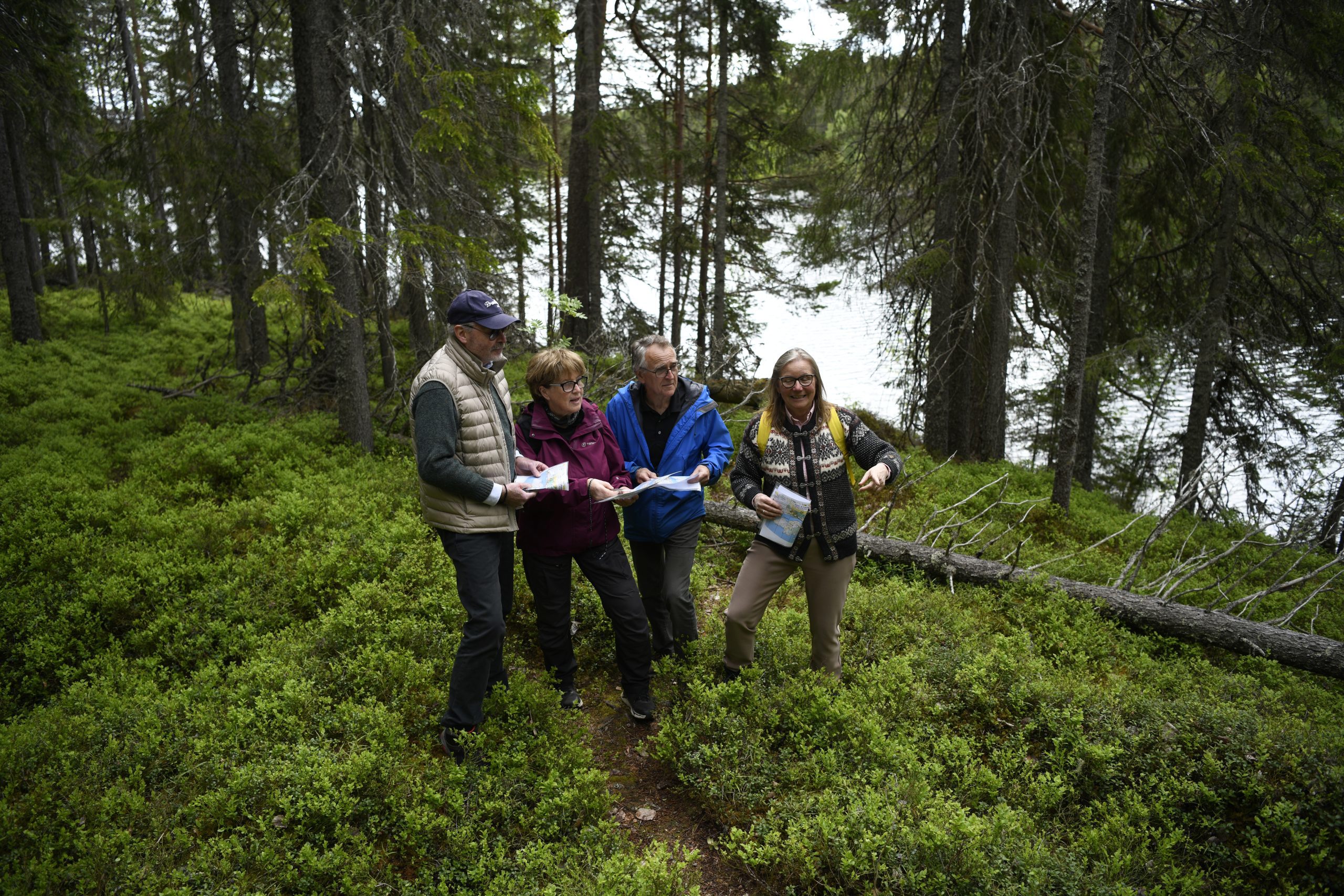 O65+ Vagvalsdiskussioner Scaled