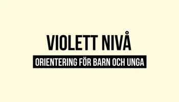 Fyrkantspuff Violett