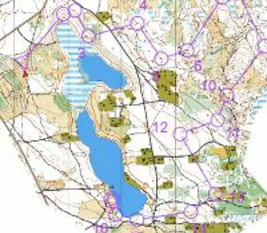 Distriktsmatchenmosaren2025 2