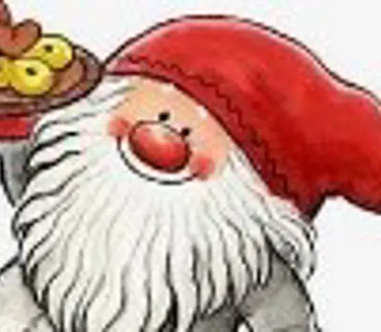 Tomte Bild Liggande