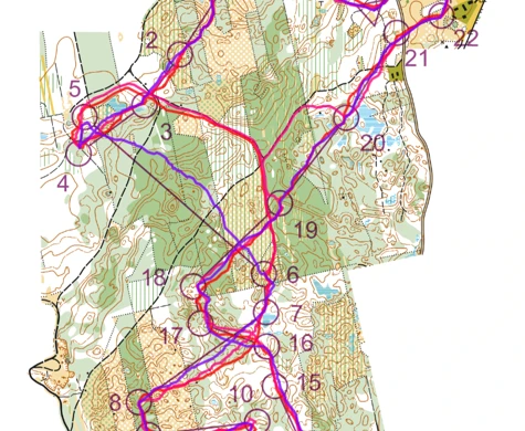 Ridefelt har landat efter guldloppet