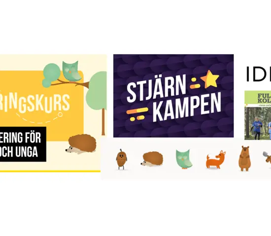 240116 Softs Skattkista Bildmontage Karolinaöstlund