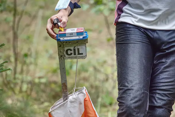 stämplar vid kontroll