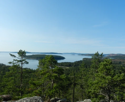Utsikt mot havet från Ögeltjärnsberget, Örnsköldsvik