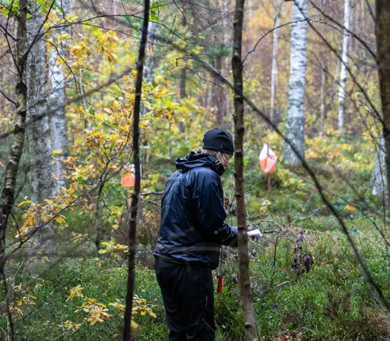 Preo Stafett SM 15 Okt 2023 Hugo Mattsson 9825