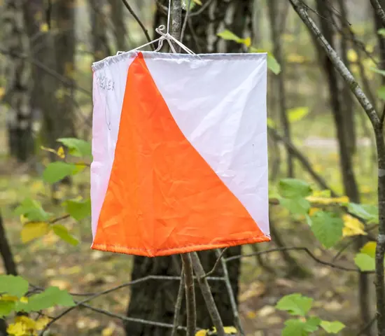 Ips Kontrollbild (1)