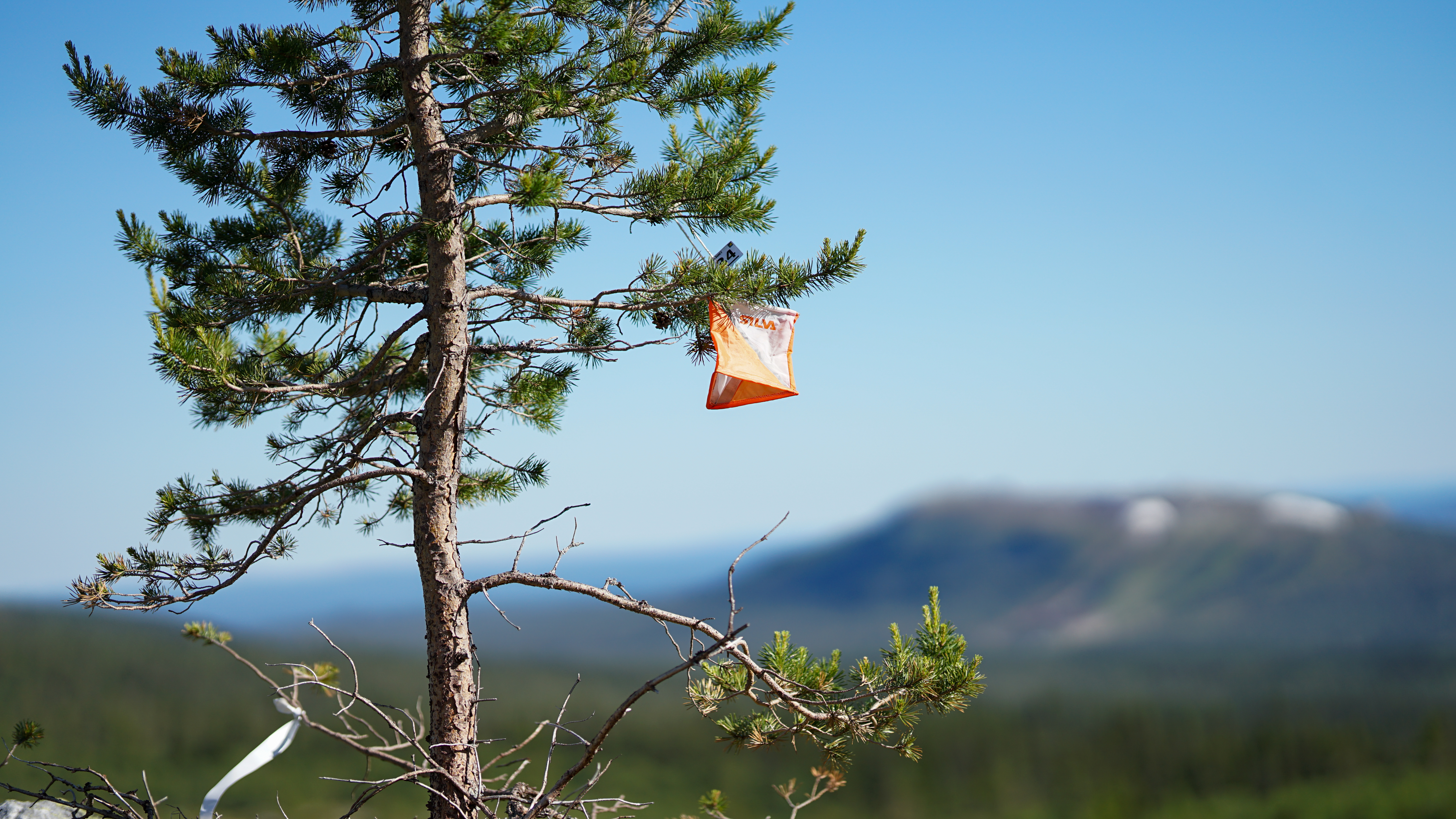 Bild Pm Träning (2)