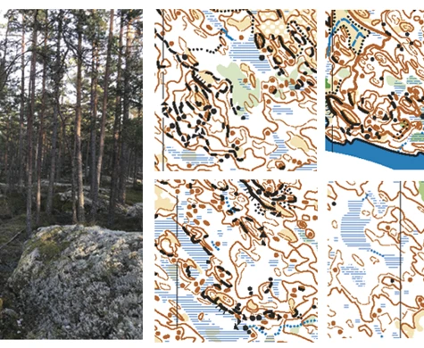 Elitpremiären närmar sig – "Häftigt startskott för Swedish League"
