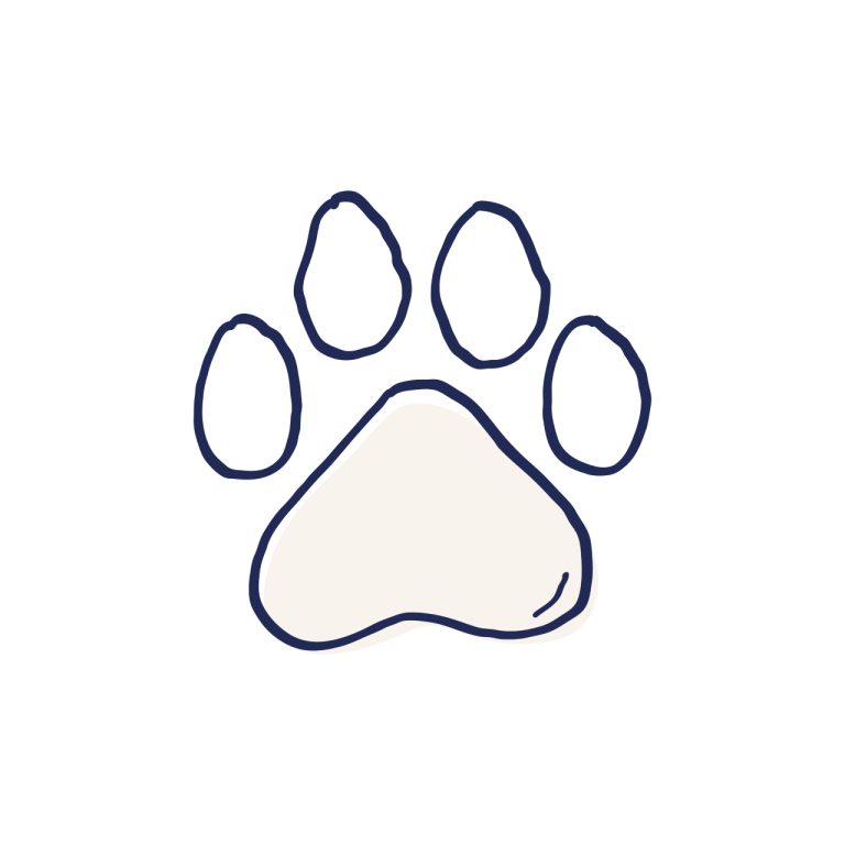 Logga K Thumbnail Logo Jamfor Hundforsakring Och Jamfor Kattforsakring 768X768 (1)