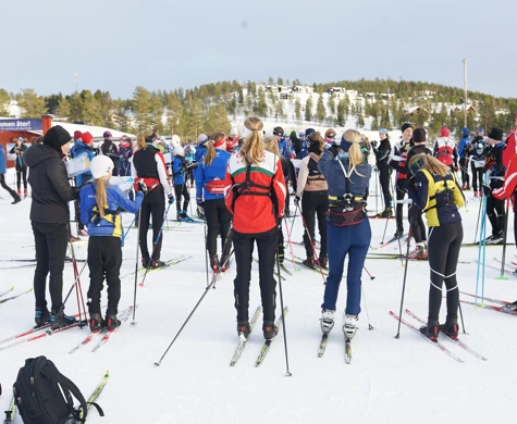 Vinter Skidorientering